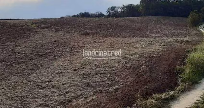 Terreno à venda na Zona Rural, Rio Azul 