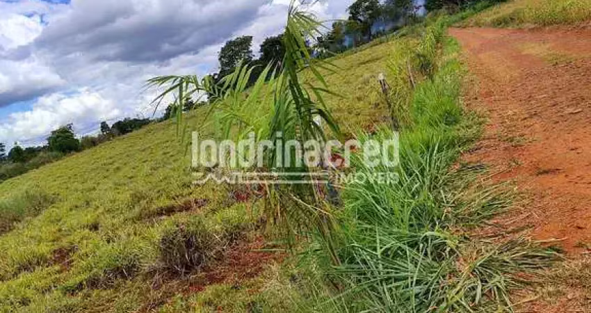 Chácara / sítio à venda na Zona Rural, Ibiporã 