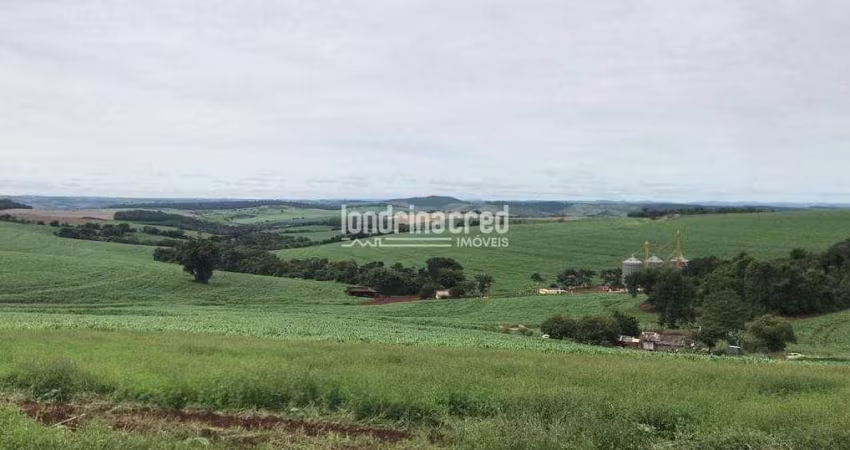 Chácara à venda 60500M², Não informado, Guairaçá - PR