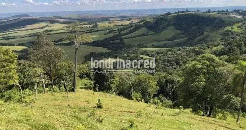Chácara à venda 314600M², Zona Rural, Rio Branco do Ivaí - PR