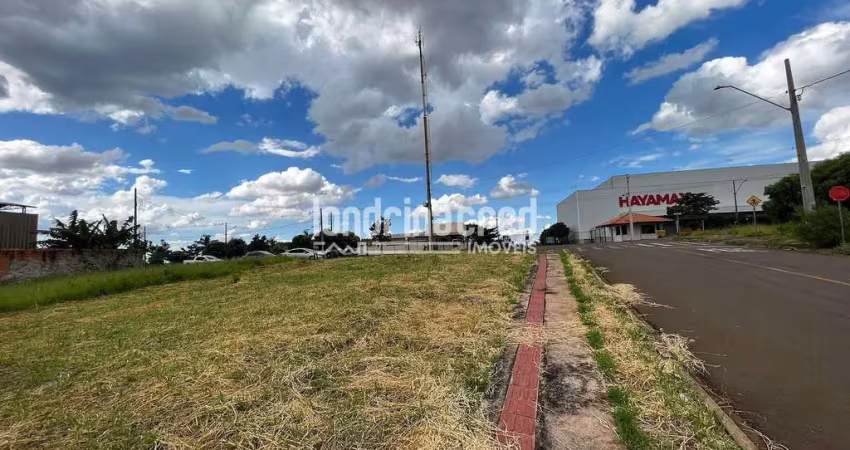 Excelente terreno comercial em ibiporã: 487,52 m² em área em crescimento, frente à hayamax, com fác