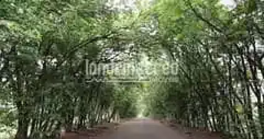 Chácara para venda 23040m², recanto santa andréa, cambé - pr