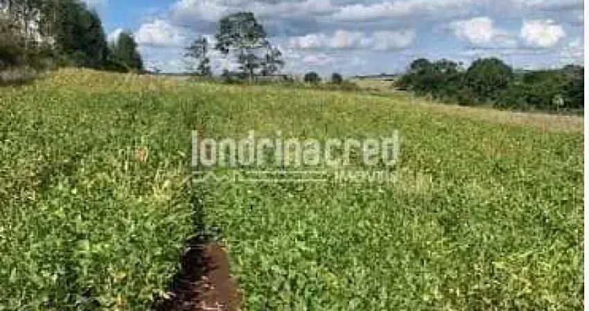 Sítio 2,5 alqueires em jataizinho, área 100% aproveitável para plantação, sem benfeitorias, solo fé