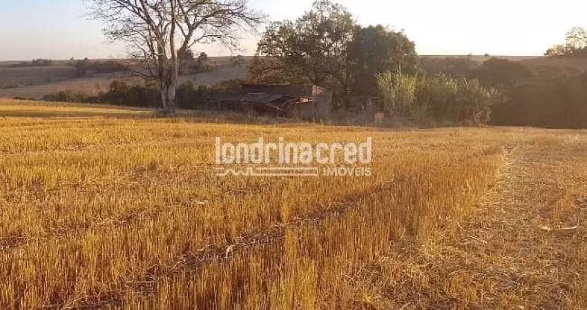 Vendo Terreno de 40.000m² Próximo a Ibiporã – Ótimo para Investimento, Loteamento, Agricultura ou C