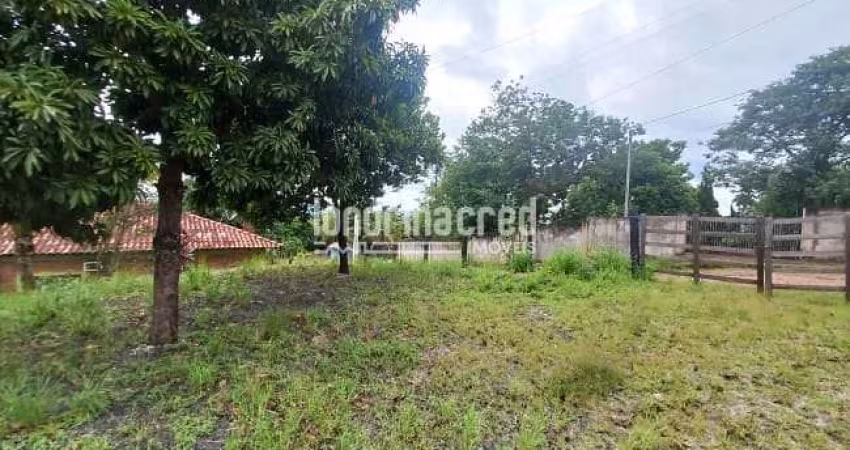 Terreno com Vista Espetacular para a Natureza – Ideal para Construir, com Topografia Levemente Incl