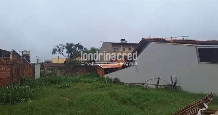 Terreno Murado de 240m² no Jardim Heidi em Londrina | 12x20m | Pequeno Aclive | Localização Privile