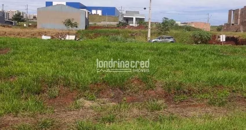 Terreno de 250 m² na Zona Leste de Londrina – Próximo à Av. das Laranjeiras, Ideal para Projetos Re