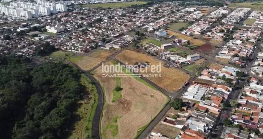 Oferta! 3 lotes no jardim maracá em londrina, prontos para construir. total de 819,89 m² por r$ 400