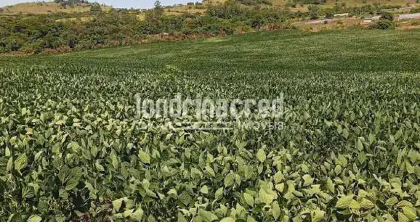Sítio à venda em uraí-pr: 4 alqueires paulistas produtivos, arrendados e com renda garantida, próxi