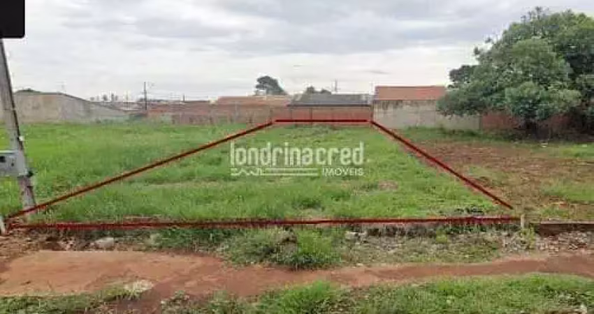 Terreno na zona norte de londrina em avenida movimentada, ideal para construção comercial ou reside