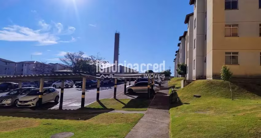 Apartamento no residencial abel chimentão – 2 dormitórios, sala, cozinha, 1 banheiro social, 1 vaga