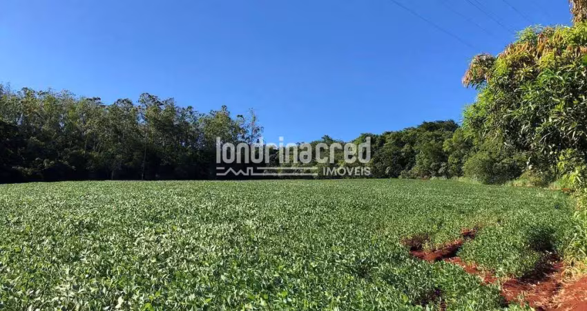 Terreno à venda no patrimônio selva – 26.000m² de área plana, ideal para chácara, lazer ou investim