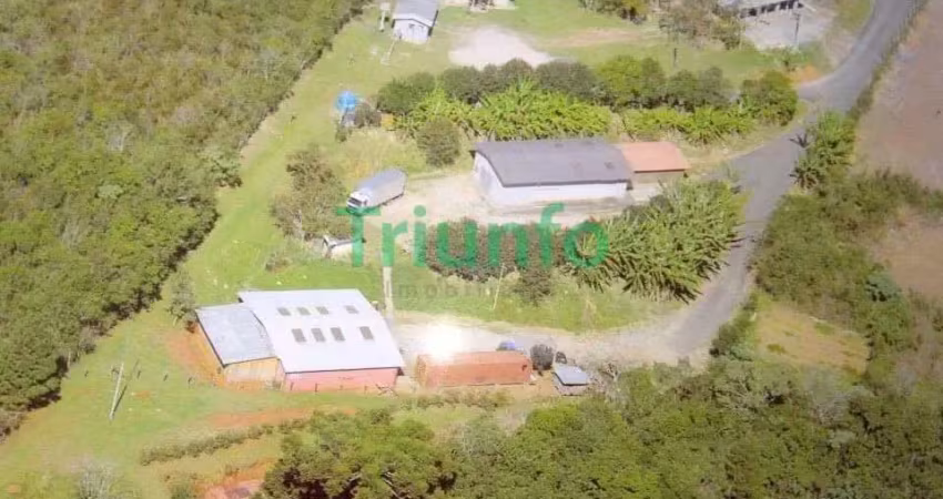 Chácara com 3 quartos  à venda, 12000.00 m2 por r$1960000.00  - centro - campo magro/pr
