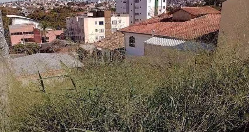 Lote para Venda em Belo Horizonte / MG no bairro Havaí