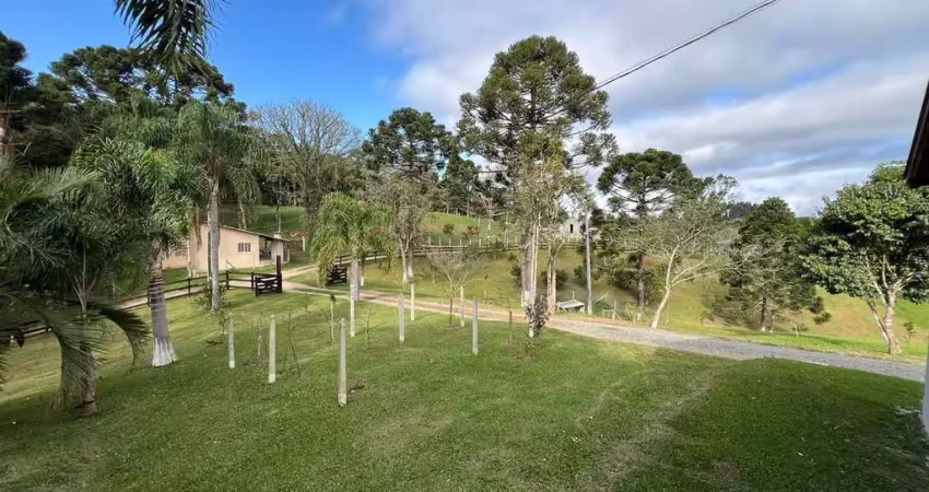 Chácara 20.000 m² Palmitalzinho - Quatro Barras/PR