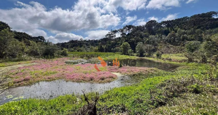 Chácara 3 dormitórios à venda, 121000 m² em Campina Grande do Sul/PR