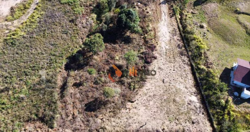 Terreno à venda, 3539,32 m² no Loteamento Bosque Merhy - Quatro Barras/PR
