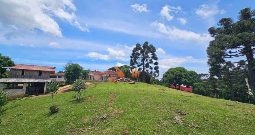 Chácara à venda, 34360 m² em Palmitalzinho - Quatro Barras/PR
