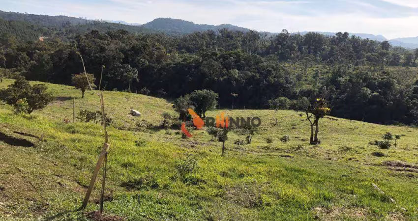Fazenda à venda na Rodovia BR-376, Campo Largo da Roseira, São José dos Pinhais