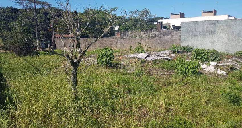 TERRENO MURADO 303,60 m²