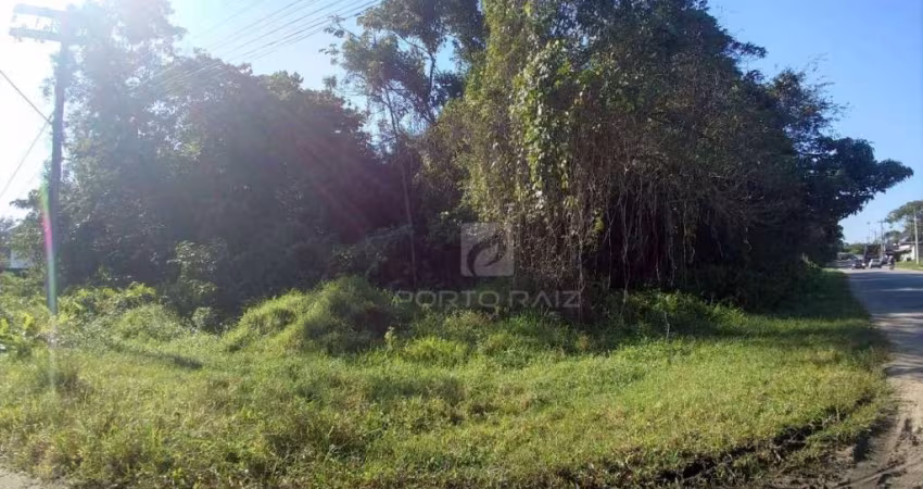 Terreno à venda, 995 m² por R$ 120.000,00 - Jardim Coronel - Itanhaém/SP