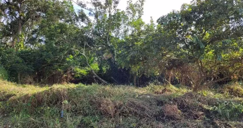 Terreno à venda no Quinta dos Açorianos, Barra Velha 