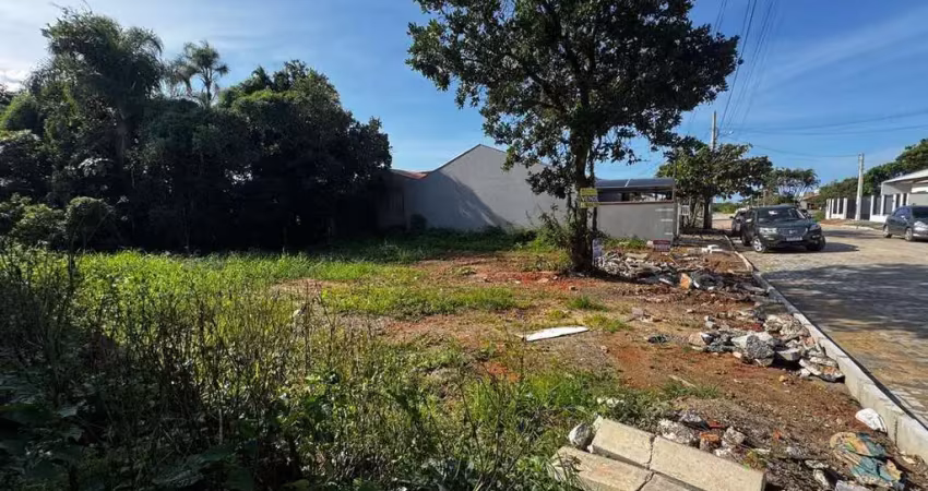 Terreno à venda na Rua Trás os Montes, lote 100, Quinta dos Açorianos, Barra Velha