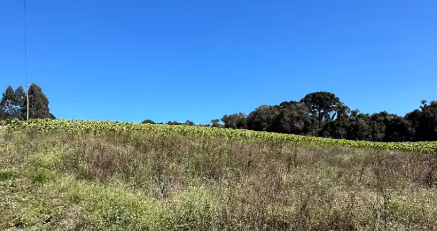 EXCELENTE CHACARÁ NO CAMINHO DO VINHO