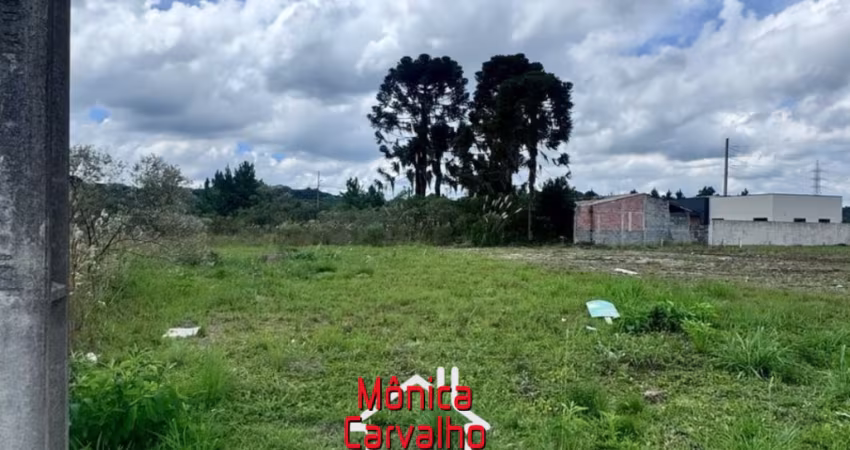 EXCELENTE TERRENO NO BAIRRO RIO PEQUENO