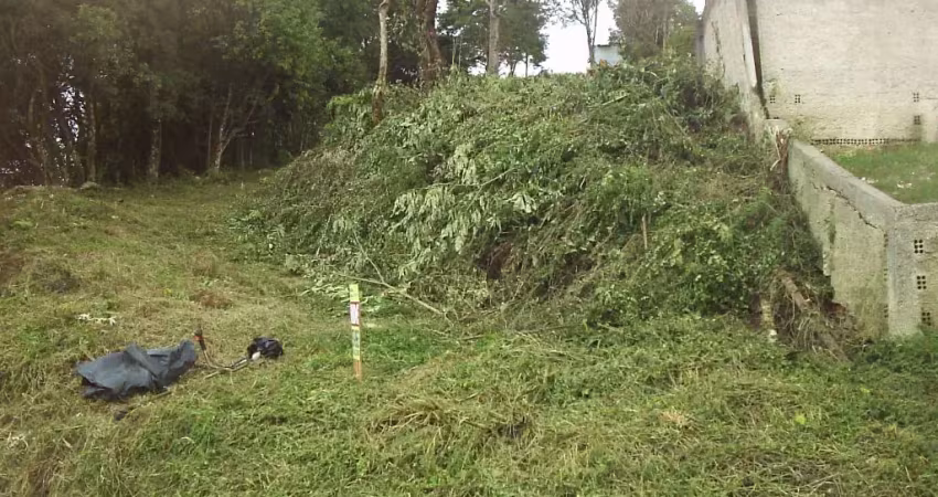 Terreno à venda na Rua do Pinheiro, Parque do Embu, Colombo