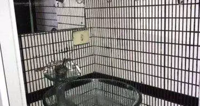 Kitnet com 1 dormitório à venda, 17 m² por r$ 80.000,00 - itararé - são vicente/sp