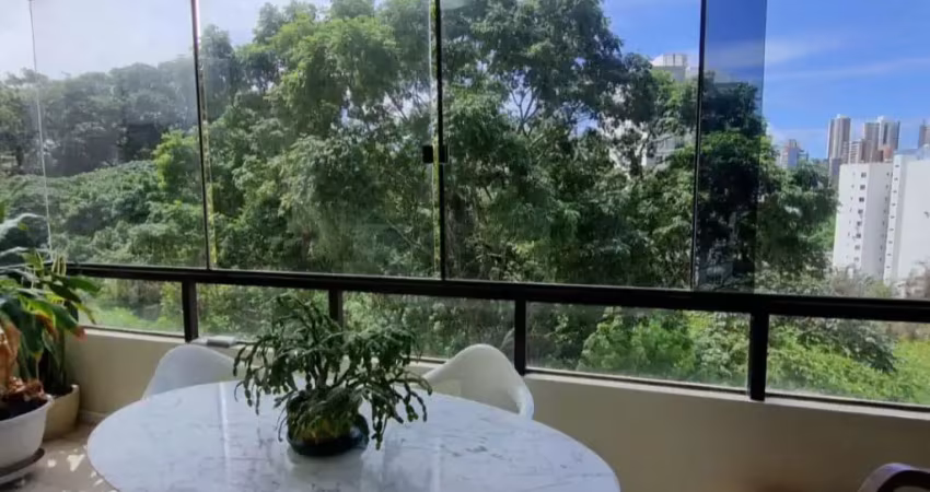 Apartamento em brotas - dentro de uma reserva dentro da cidade