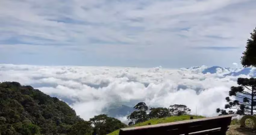 Chácara / sítio com 3 quartos à venda na Zona Rural, Bananal 