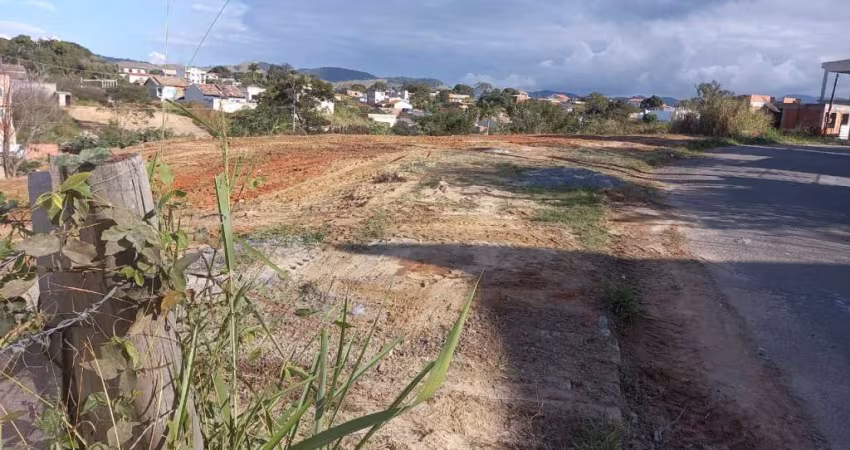 Terreno Roma