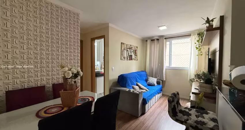 Apartamento com 2 quartos à venda na Avenida Aparecida do Rio Negro, 538, Jardim Íris, São Paulo