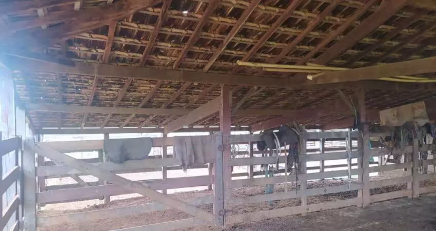 Chácara / sítio à venda no Centro, Abaeté 