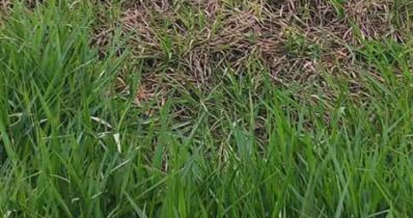 Terreno á venda ! Residencial Villa Verde - Bragança Paulista SP