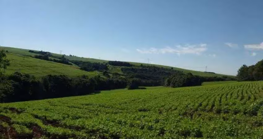 Sítio distrito são joão - cidade de cascavel - 19 alqueires com açudes