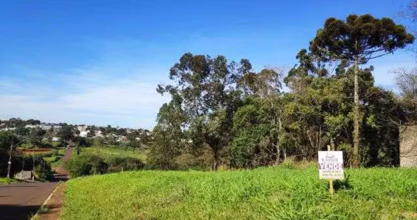Terreno à venda na Rua Veneza, Cascavel Velho, Cascavel