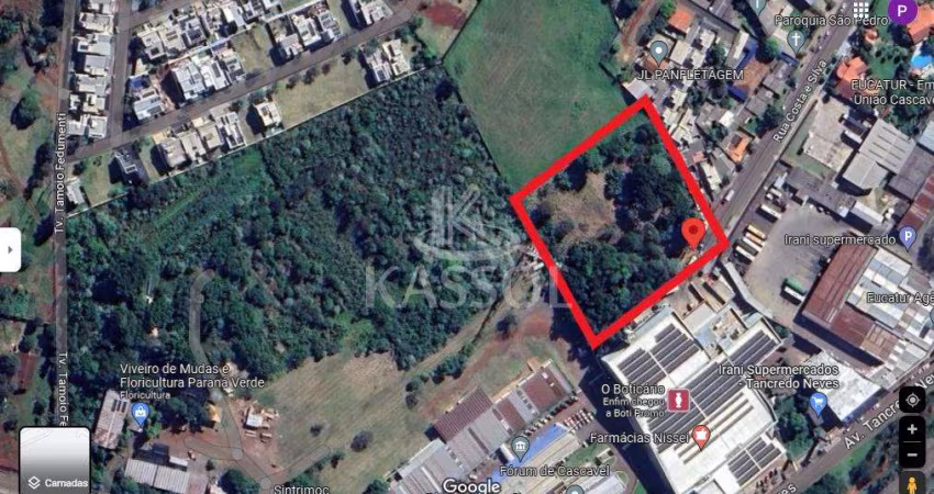 Terreno à venda,8030.00 m , ALTO ALEGRE, CASCAVEL - PR