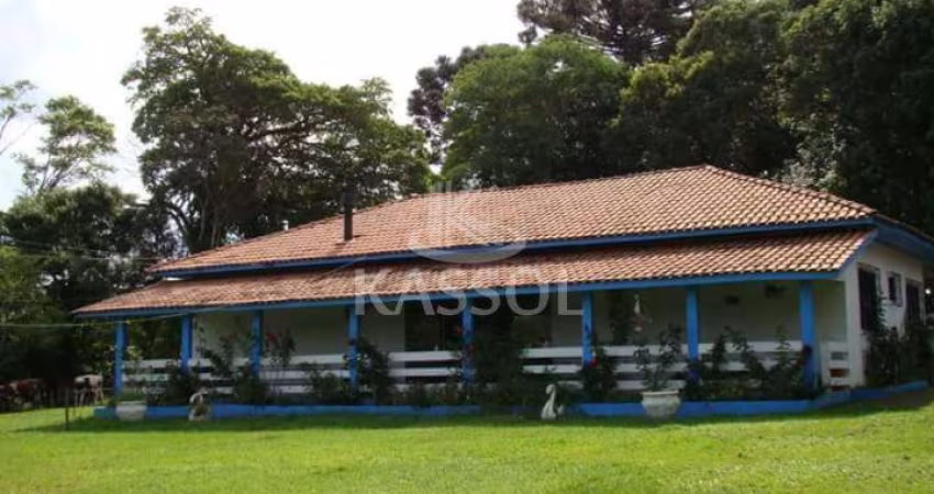 Sítio na Colônia Barreiro - 1.000m do asfalto - 7,5 alqueires