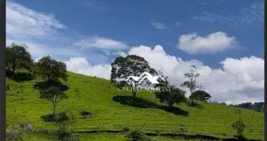 Sítio à venda, 9000 m² por r$ 220.000,00 - bairro do paiol velho - são bento do sapucaí/sp