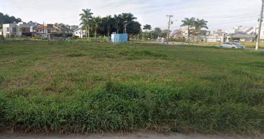 Terreno à venda em Pedra Branca, Palhoça 