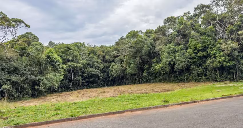 Terreno com 2.759,12m² em pinhais/pr - condomínio verdespaço