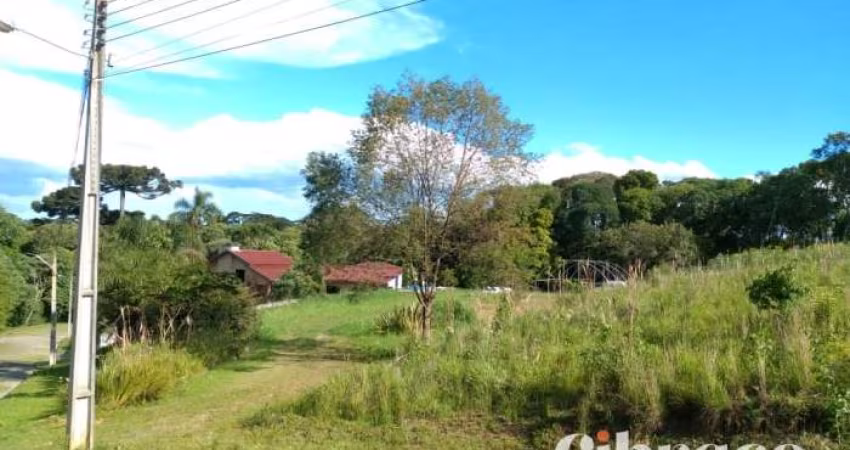Terreno em Campo Largo de 4.493,00m² - Residencial Arvoredos de Santana