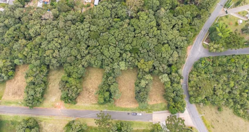 Terreno com 2.472,42m² em Pinhais/PR - Condomínio Verdespaço