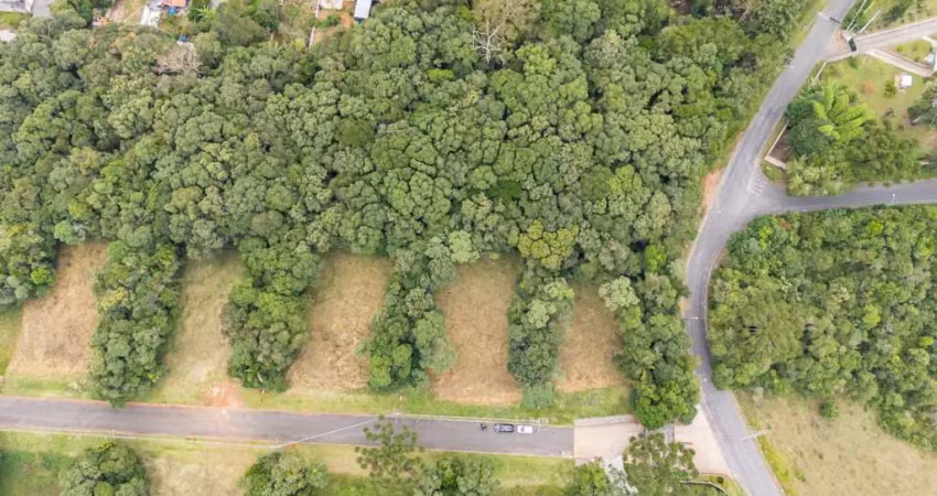 Terreno com 2.472,42m² em pinhais/pr - condomínio verdespaço
