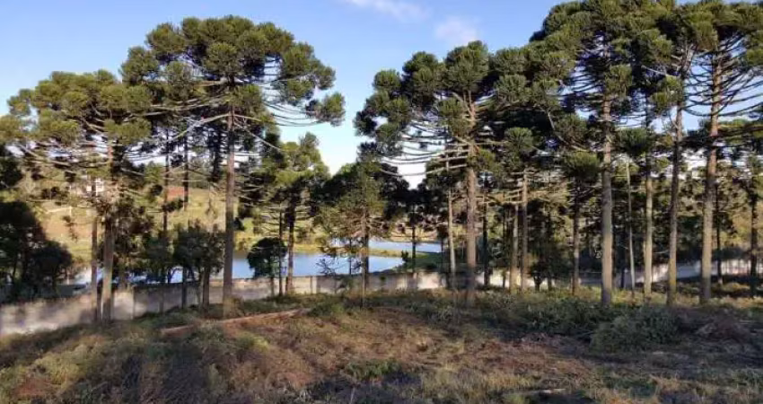 Terreno com 1.319,27m² em piraquara - condomínio residencial betaville