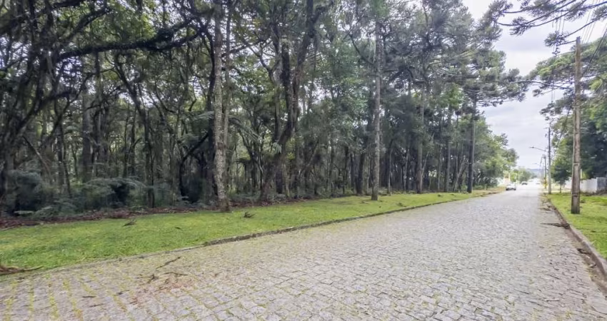 Terreno com 3003,00 m² -  O Recanto II