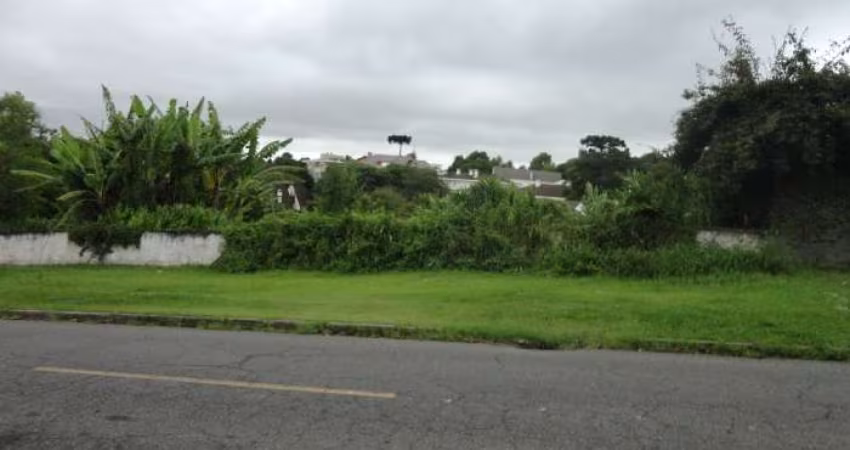 Terreno no Vista Alegre com 670,00m²